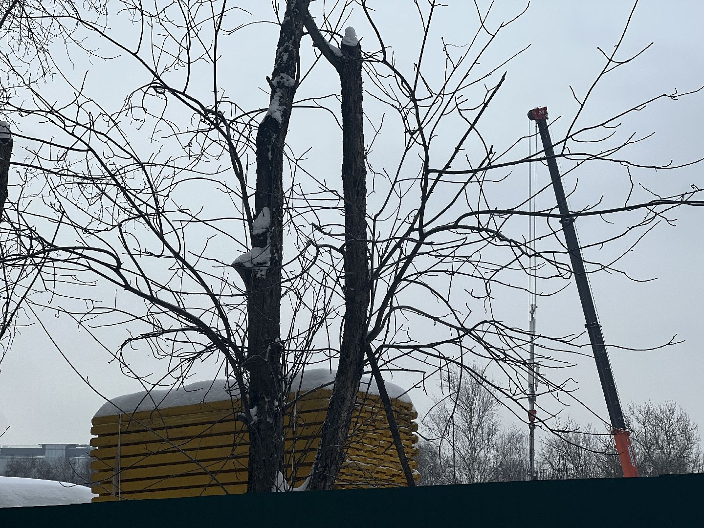 химки, капитальный ремонт детского сада, детский сад, реконструкция здания, строительство,