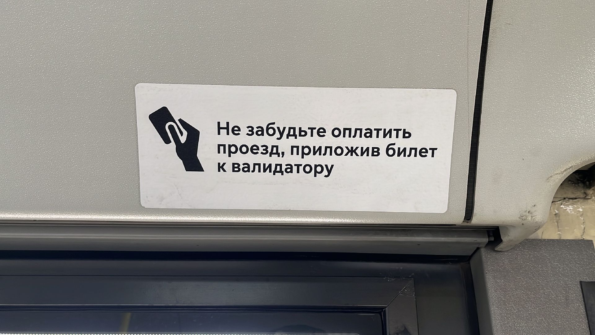 транспорт, общественный транспорт, автобус, новый автобус,