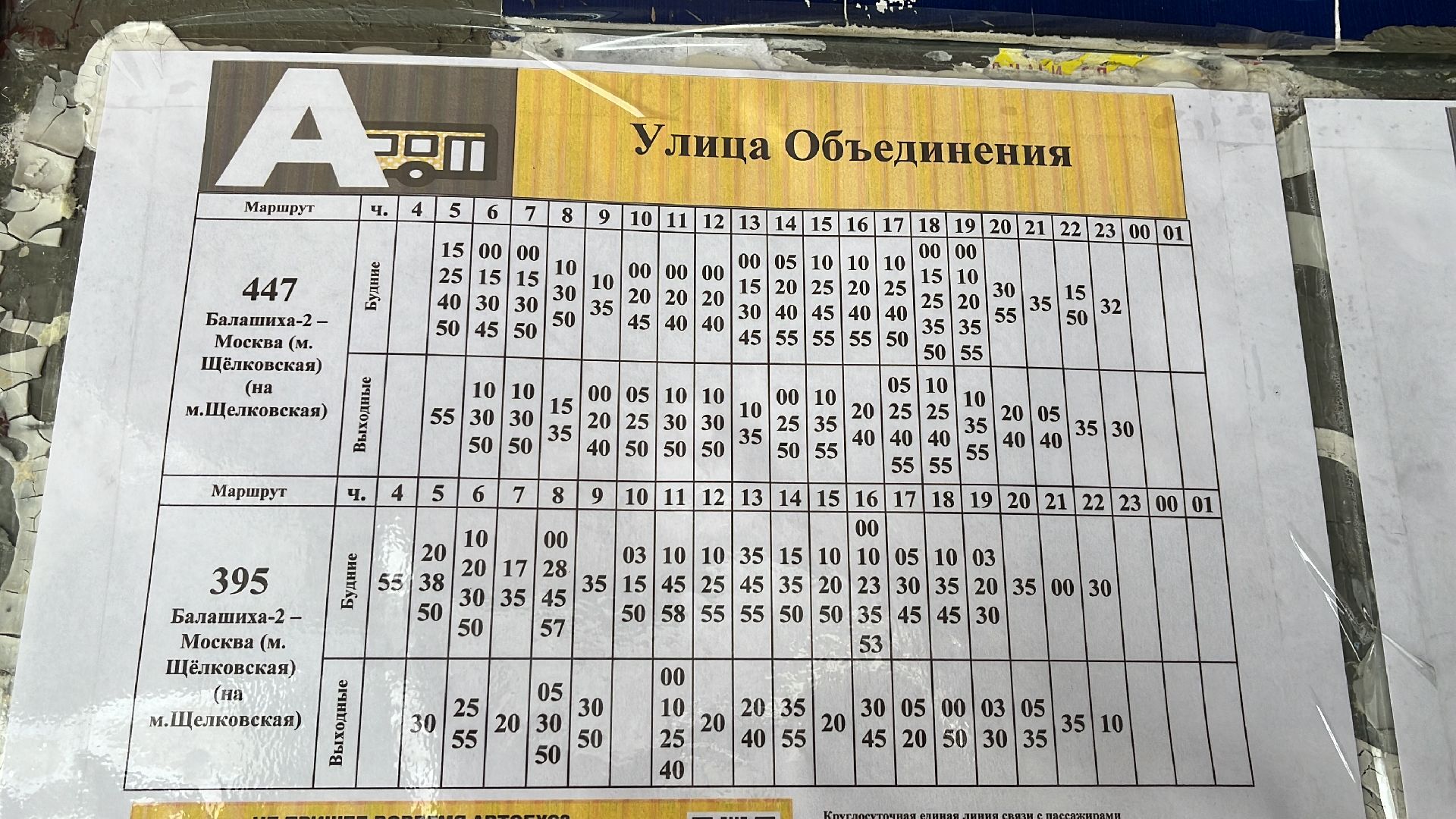 транспорт, общественный транспорт, автобус, новый автобус,