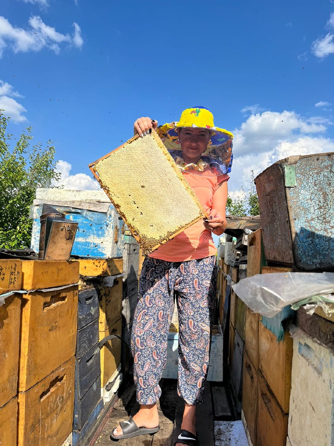 Чехов, ярмарка, мед