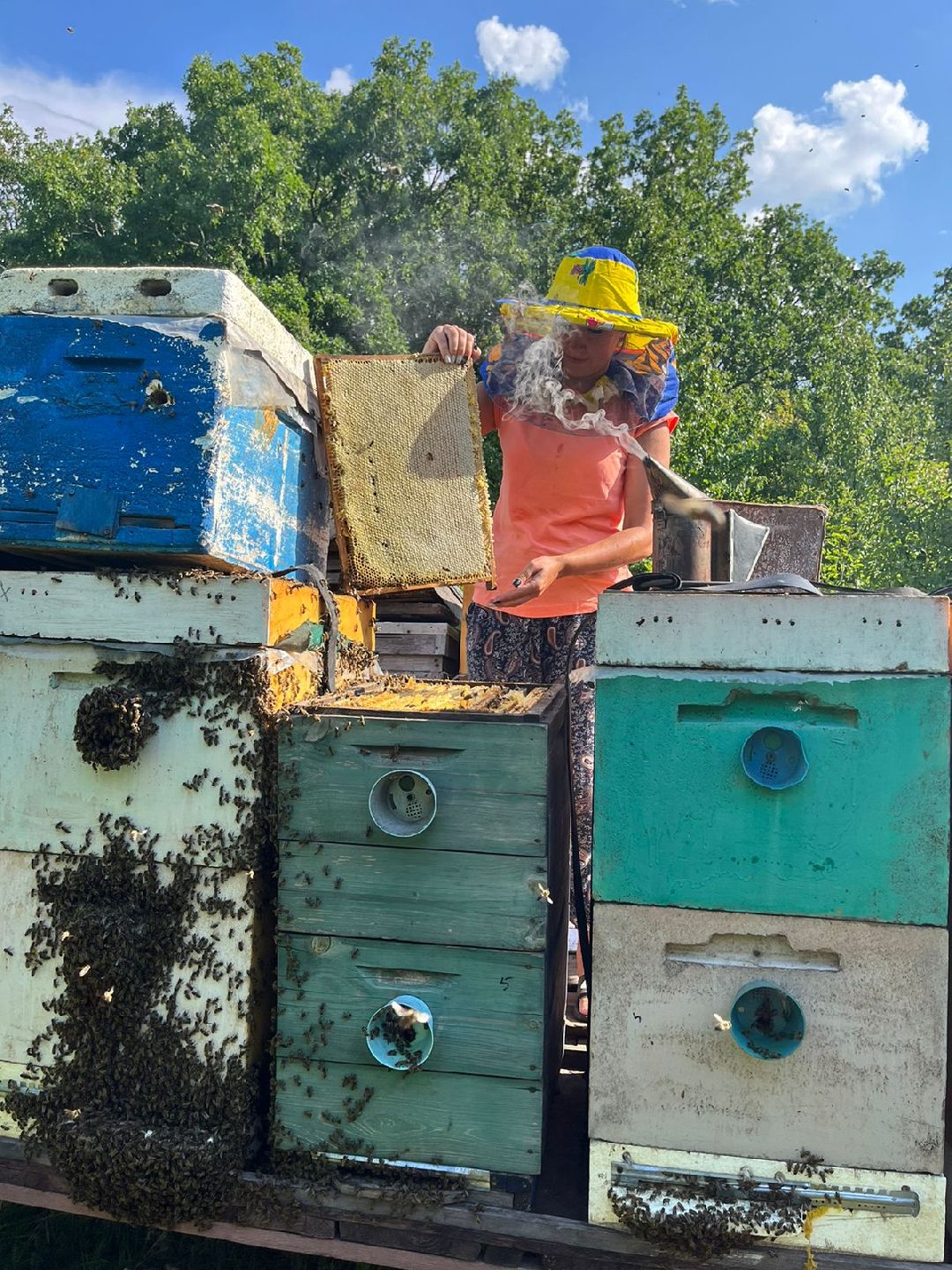 Чехов, ярмарка, мед