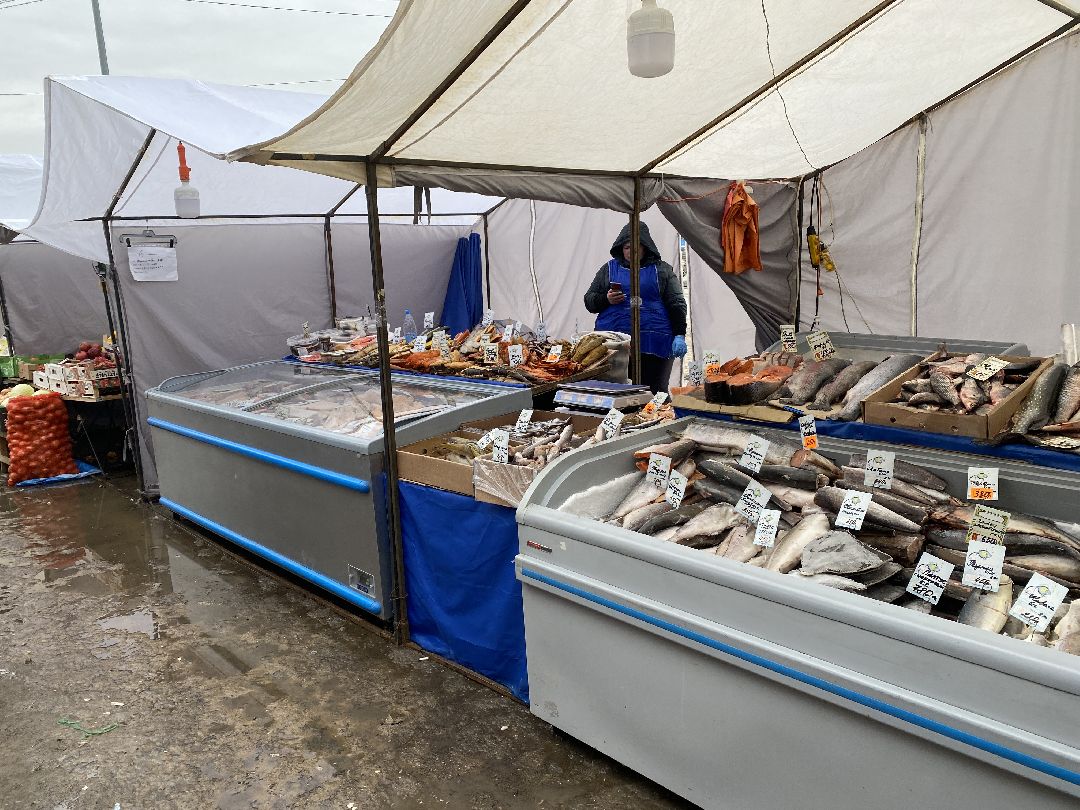 Чехов, ярмарка, мед