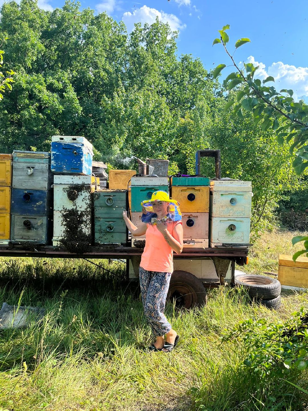 Чехов, ярмарка, мед