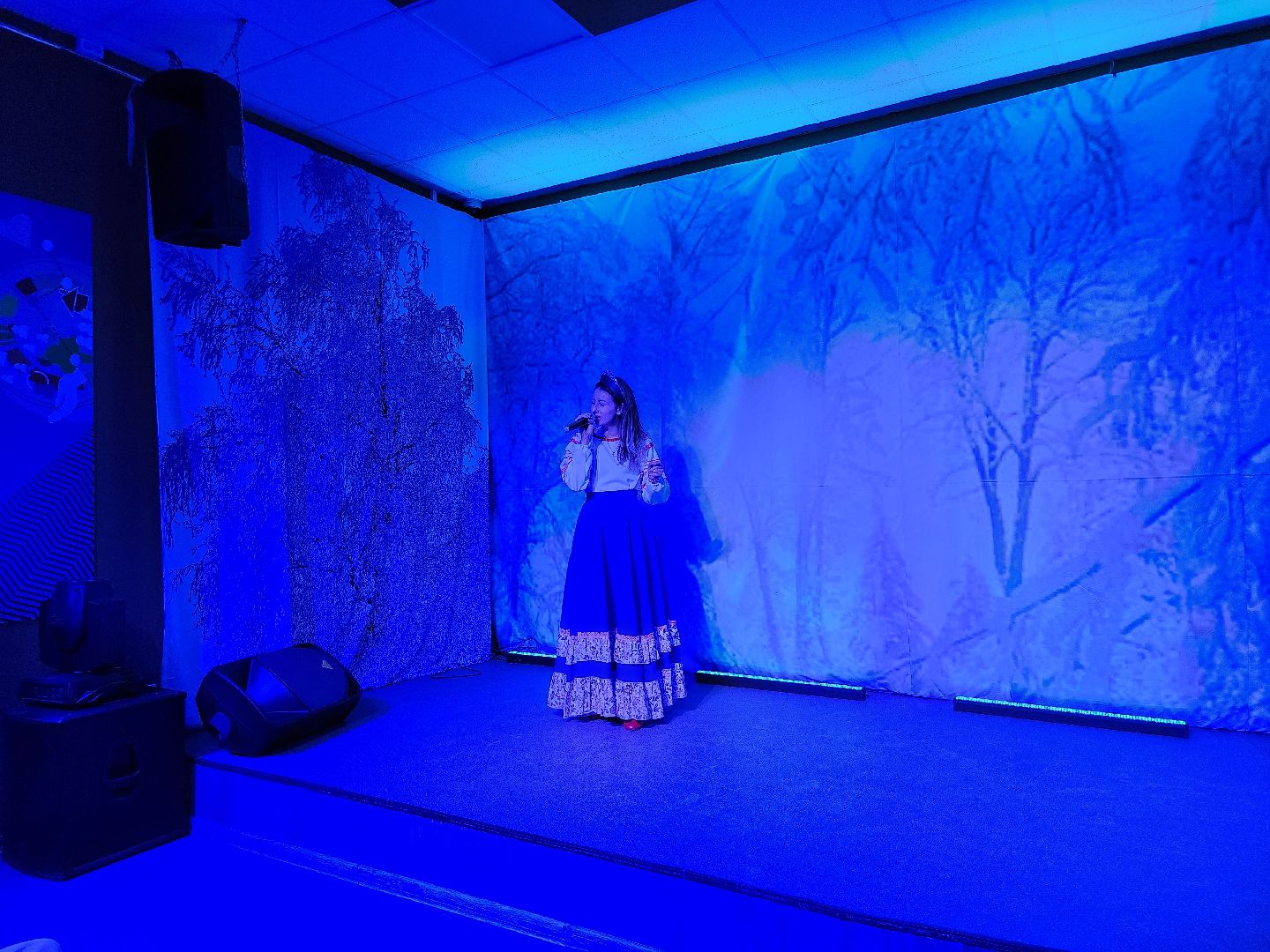 молодежный фестиваль, Богородская зима, PRO Молодежь, Ногинск, Богородский городской округ,