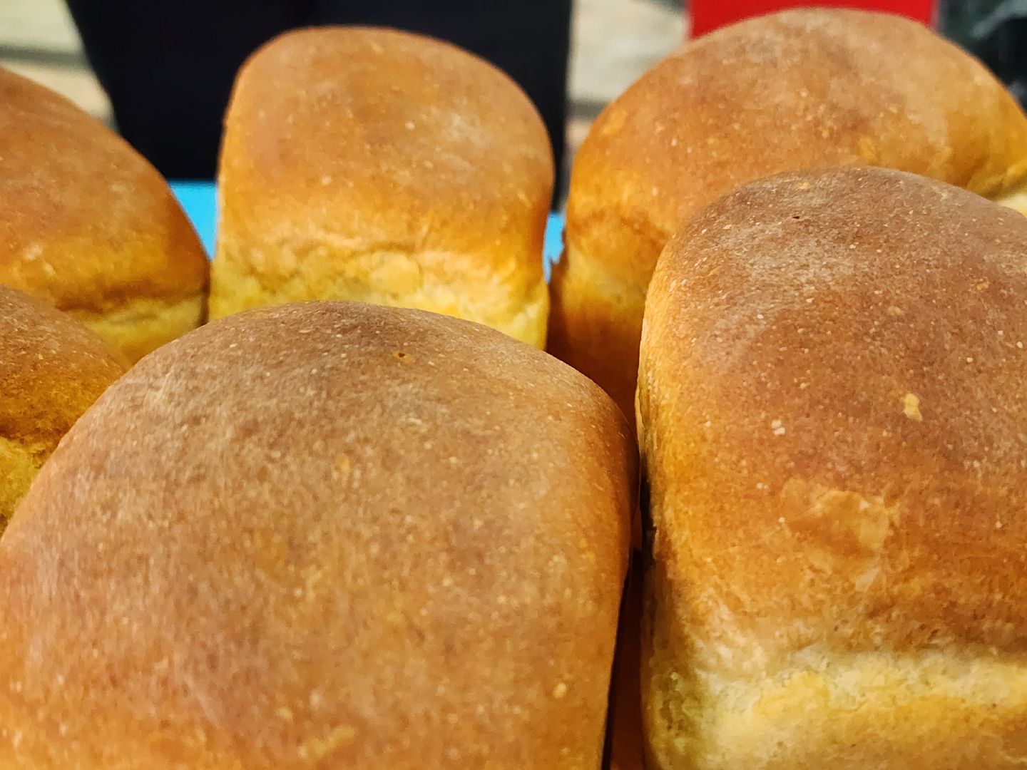 молодежный фестиваль, Богородская зима, PRO Молодежь, Ногинск, Богородский городской округ,