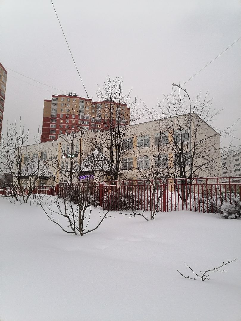 лобня, дороги подмосковья, мамы, автолюбители,