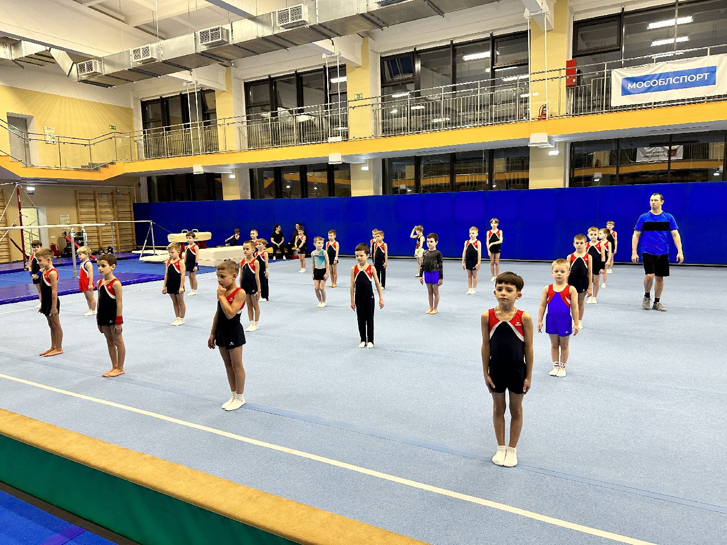 спорт в подмосковье, спортивная гимнастика, наро-фоминск,