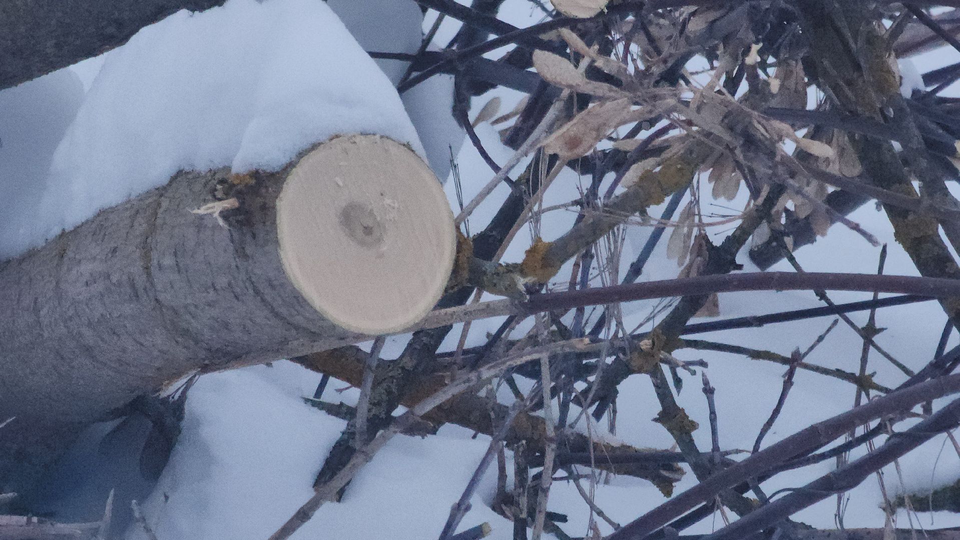 Павловский Посад, Городской округ Павловский Посад, Парк, Строительство, Благоустройство, Набережная, Зелный узел,