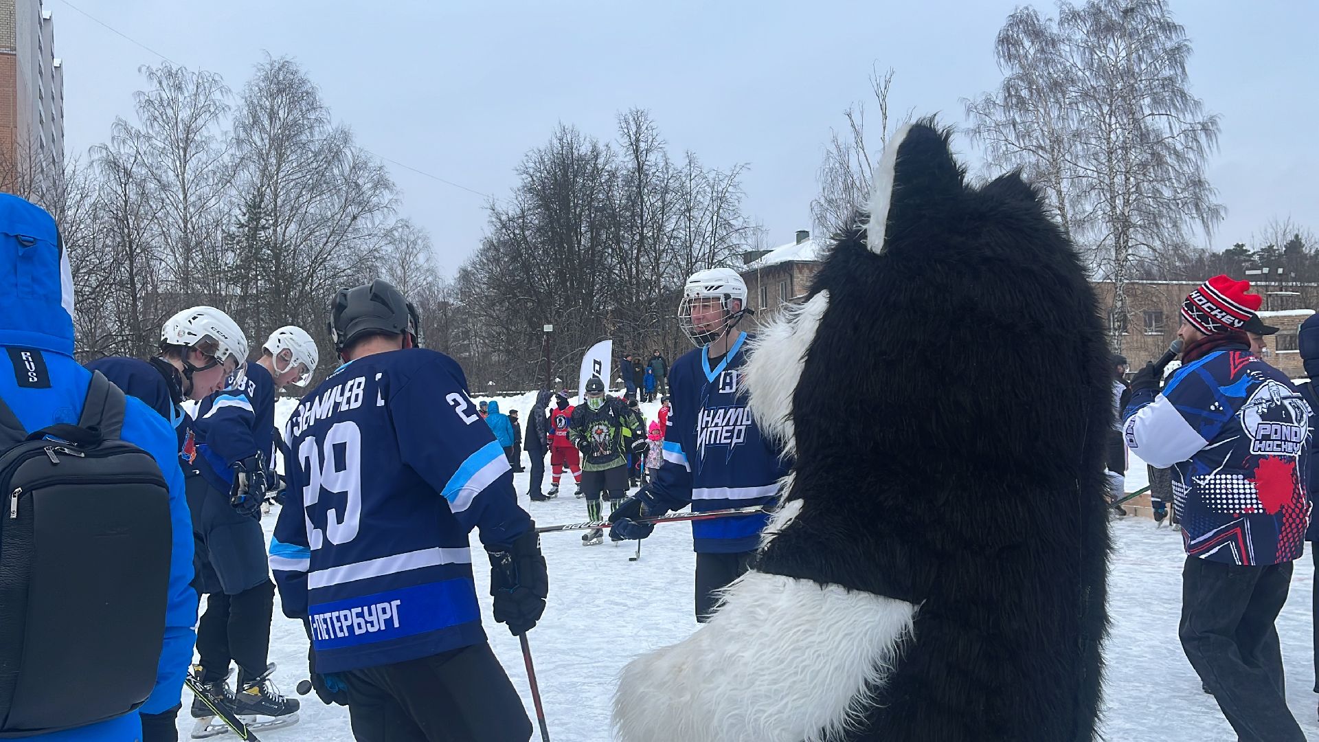 хоккей, Турнир по хоккею, понд-хоккей, турнир, 4х4,