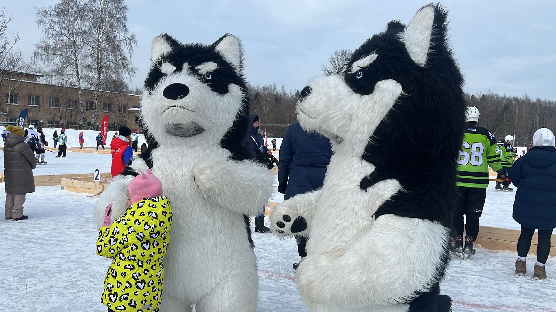 хоккей, Турнир по хоккею, понд-хоккей, турнир, 4х4,