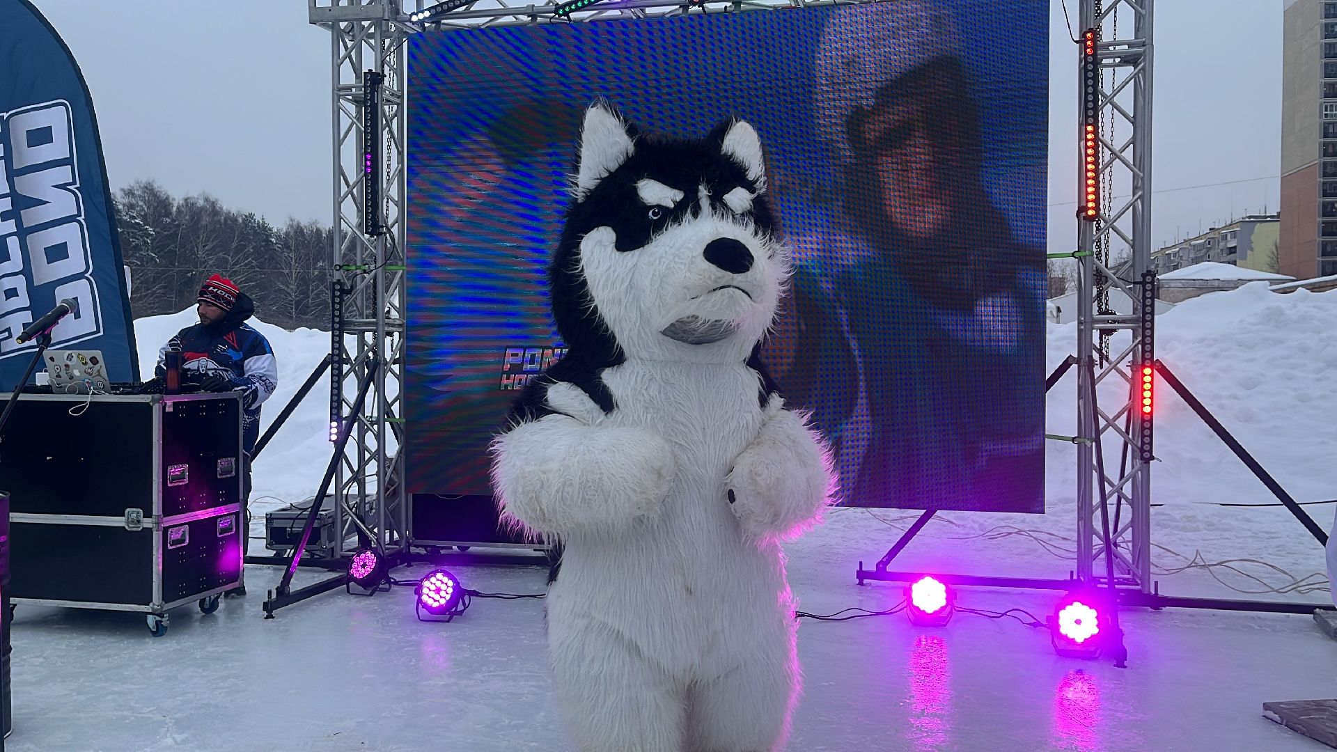 хоккей, Турнир по хоккею, понд-хоккей, турнир, 4х4,