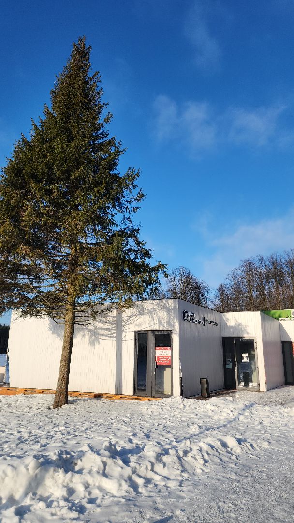 культура, культура и туризм в подмосковье, активное долголетие, активность, электросталь, мой город, жители города, изобразительное искусство, изостудия, старшее поколение,