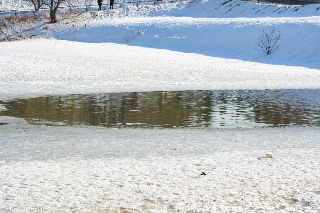 Сергиев Посад, Сергиево-Посадский городской округ, МЧС, Спасатели, 112, тонкий лёд