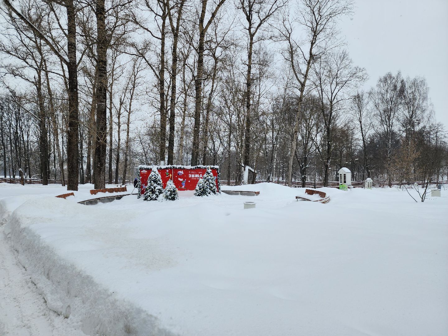 метеоролог, погода,