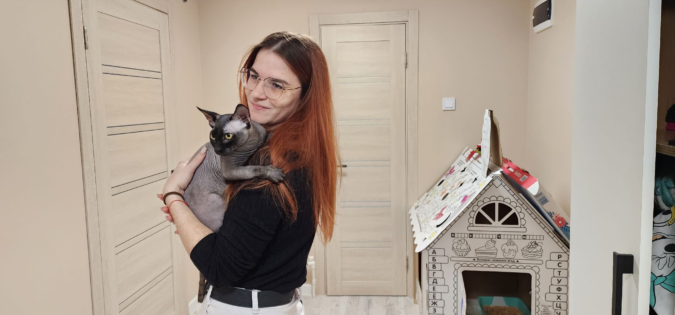 раменское, общество, спасенный кот Вольт,