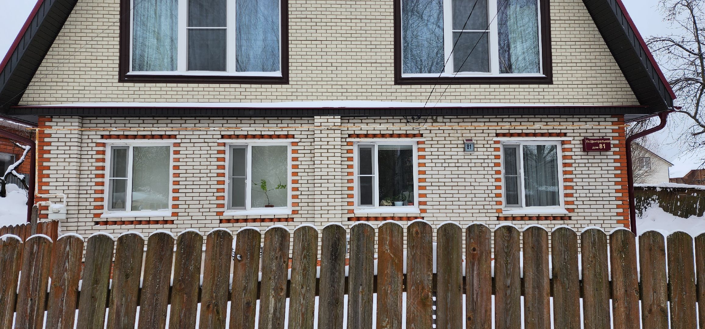 раменское, общество, спасенный кот Вольт,