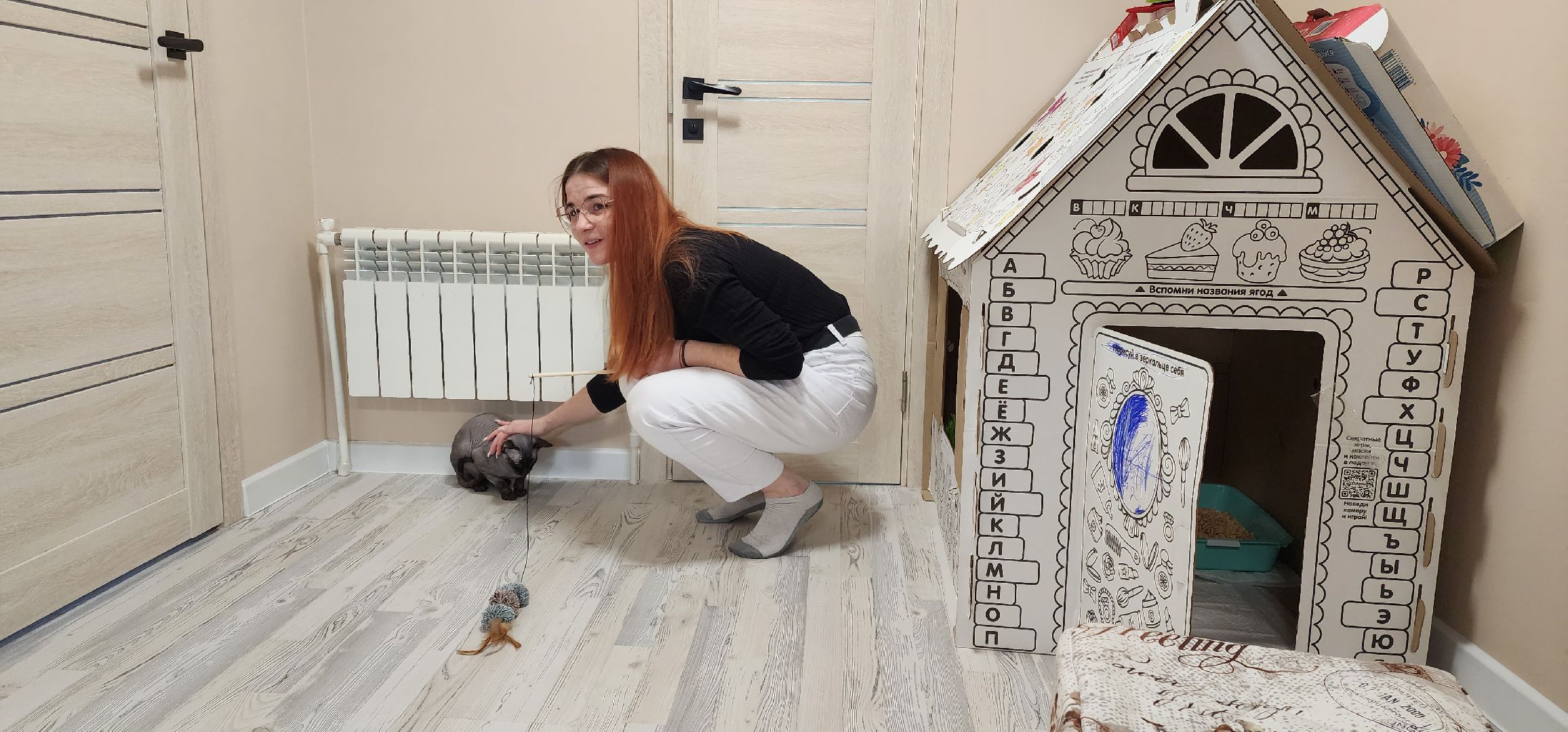 раменское, общество, спасенный кот Вольт,