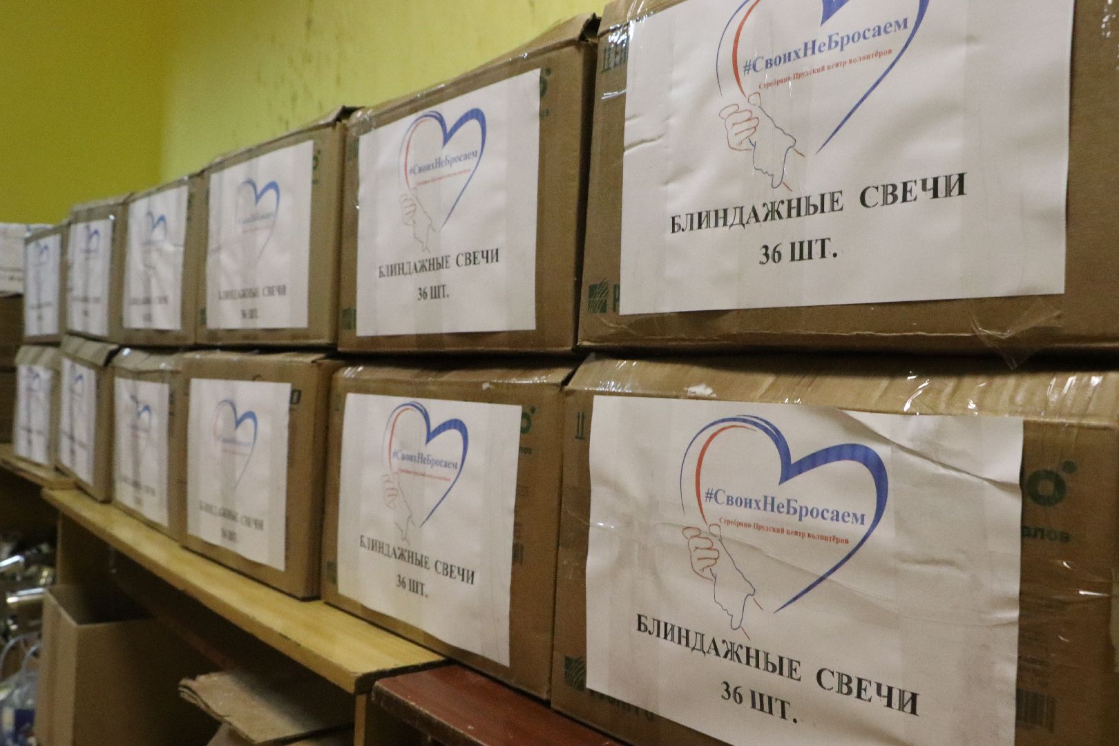 волонтеры, волонтерский центр, Серебряные Пруды, Узуново, СвоихНеБросаем,