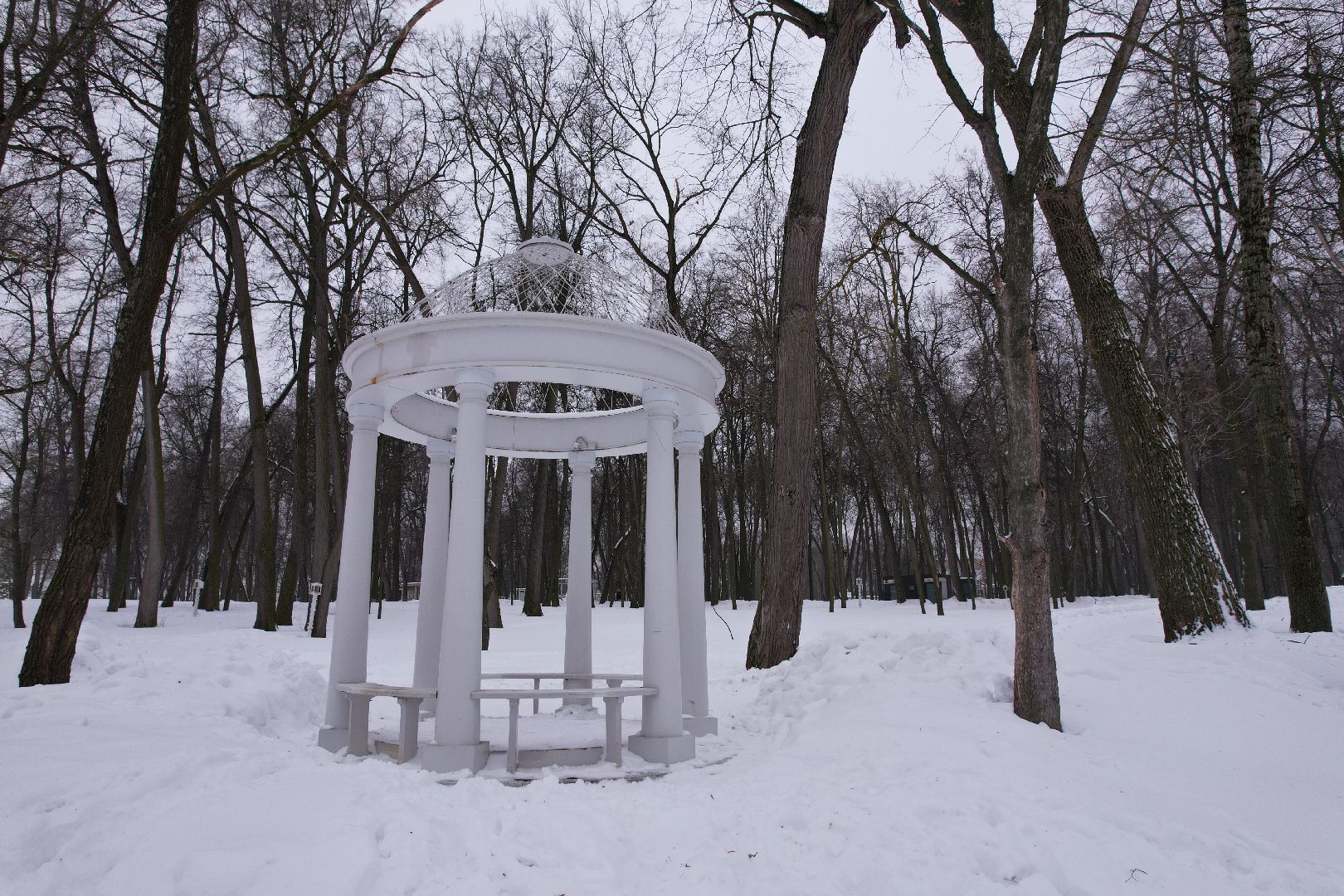 видео с коптера, усадьба, благоустройство, воскресенск,