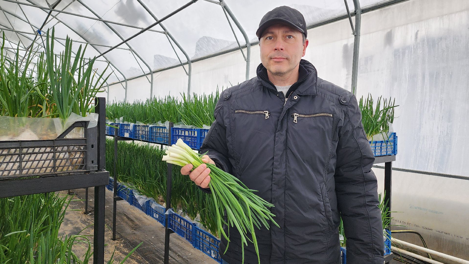 Егорьевск, Подмосковье, Московская область, Великий край,