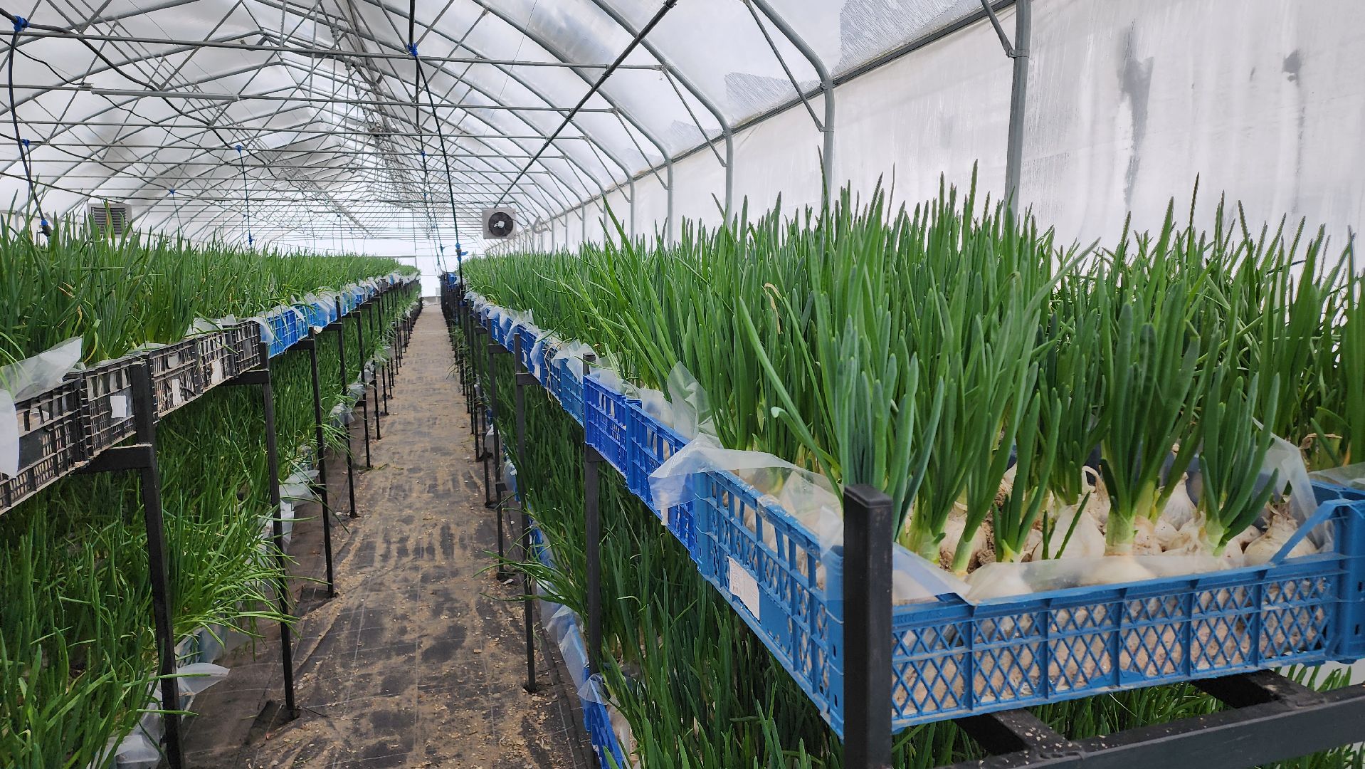 Егорьевск, Подмосковье, Московская область, Великий край,