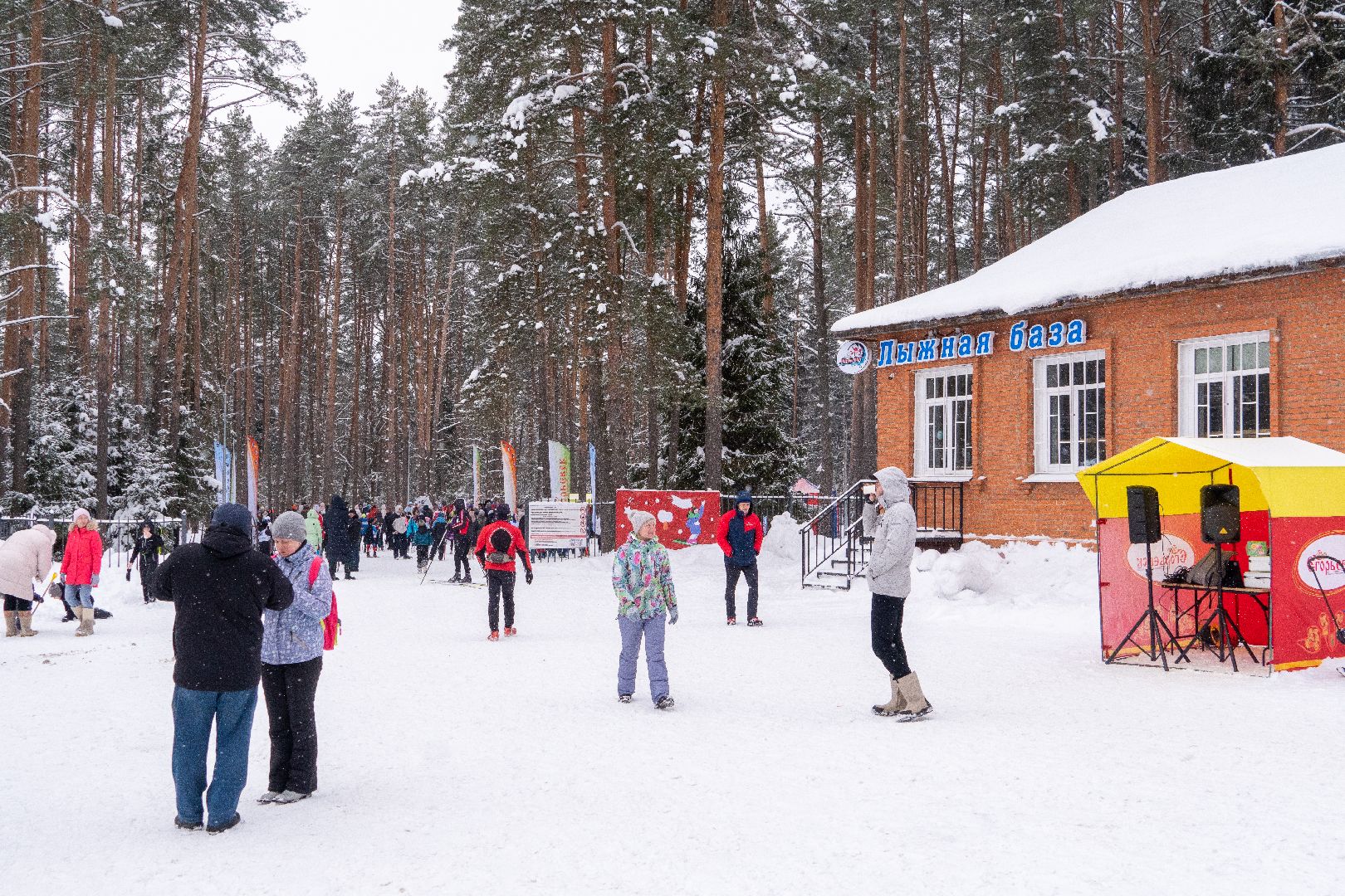 Егорьевск, спорт, лыжи, фестиваль, год семьи, снежные узоры,