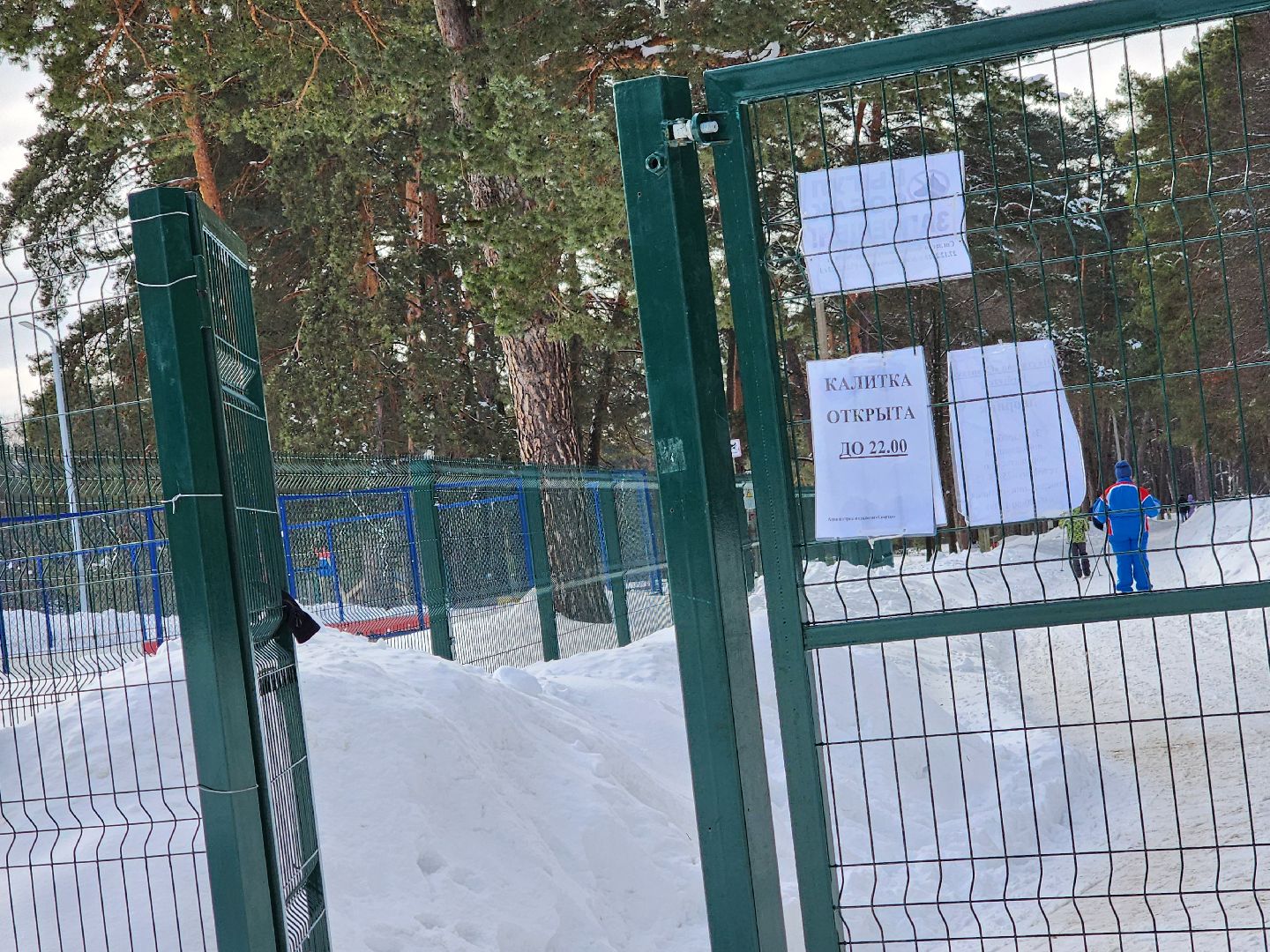 стадион спартак, лыжня, белки, спорт, серпухов,