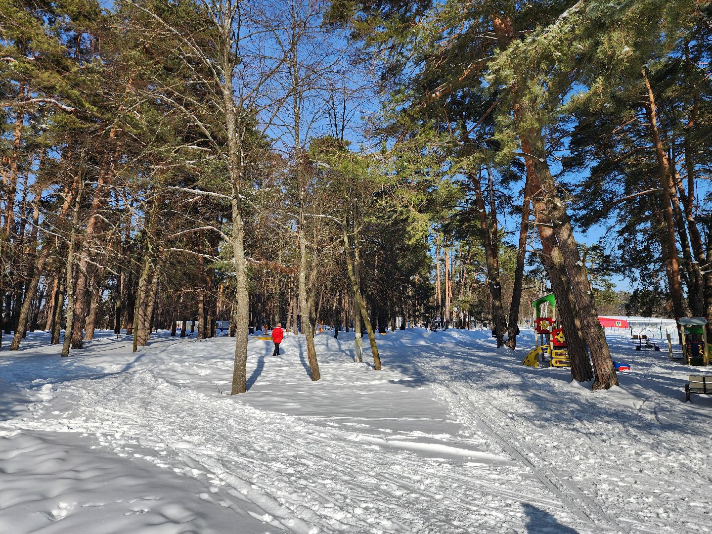 стадион спартак, лыжня, белки, спорт, серпухов,