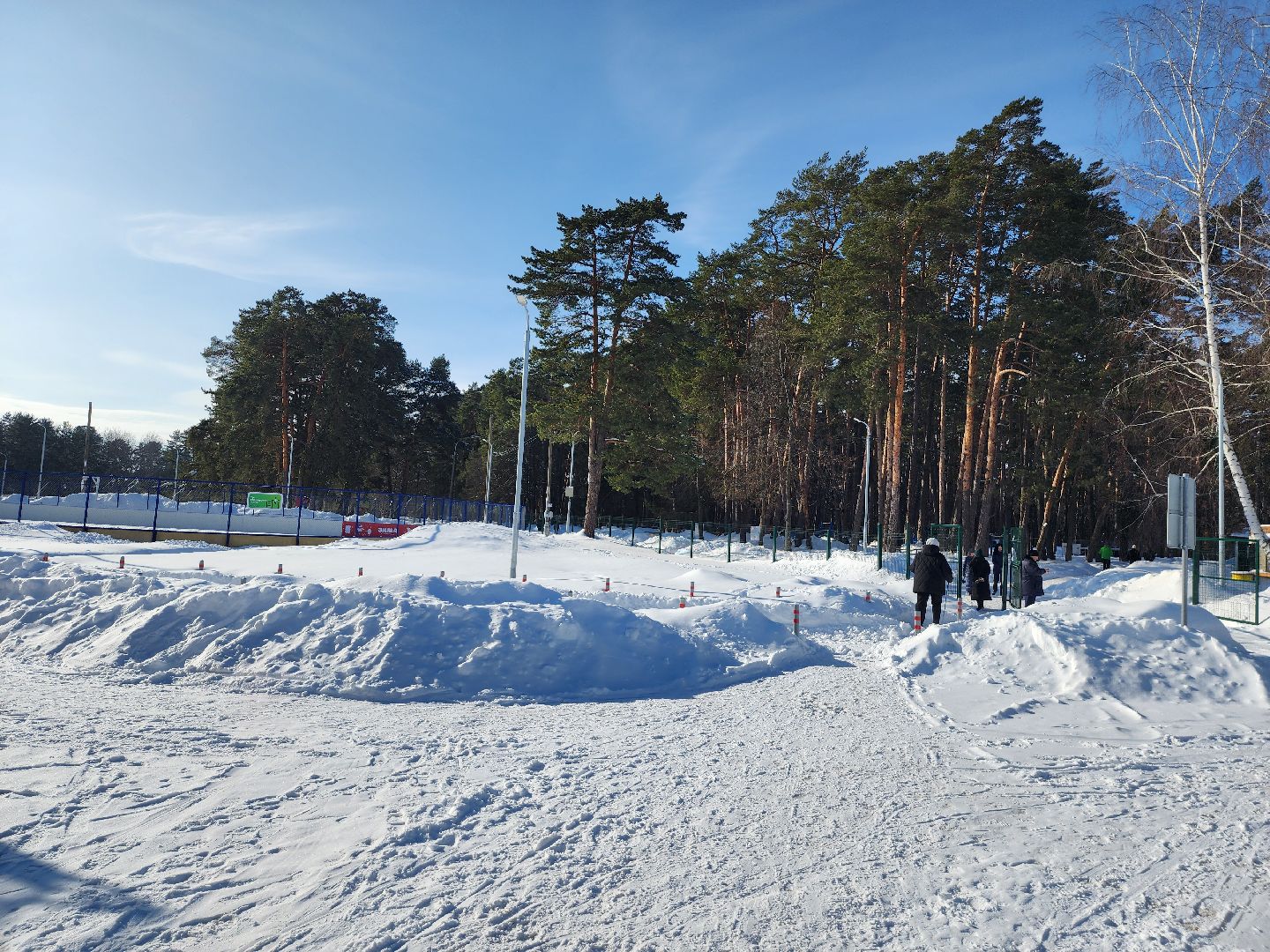 стадион спартак, лыжня, белки, спорт, серпухов,