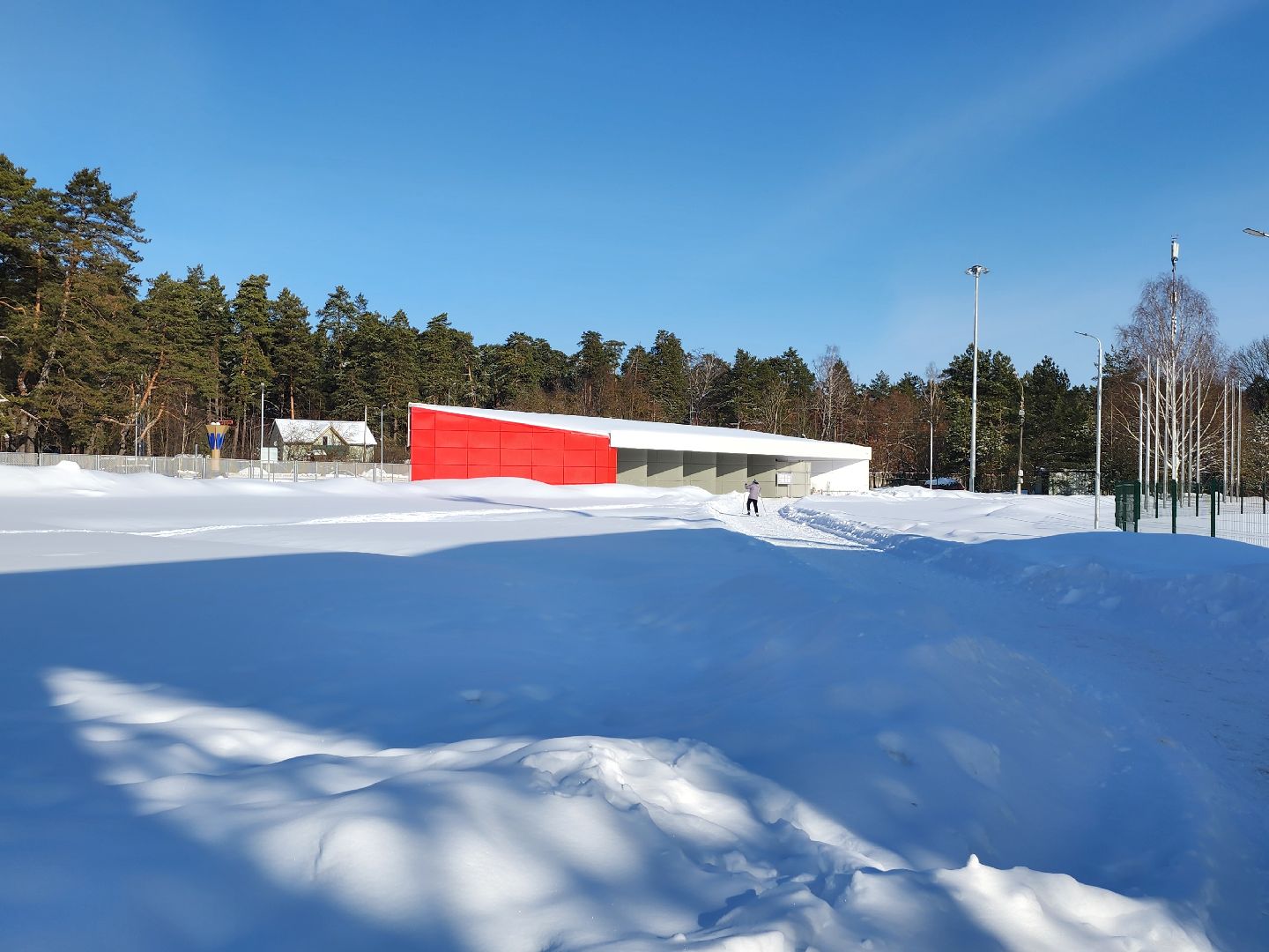 стадион спартак, лыжня, белки, спорт, серпухов,