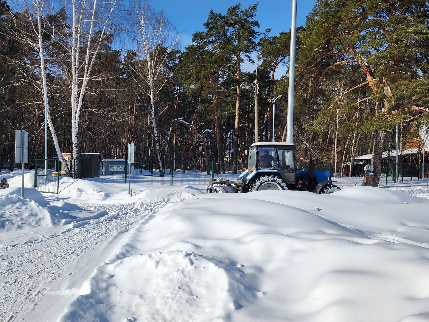 стадион спартак, лыжня, белки, спорт, серпухов,
