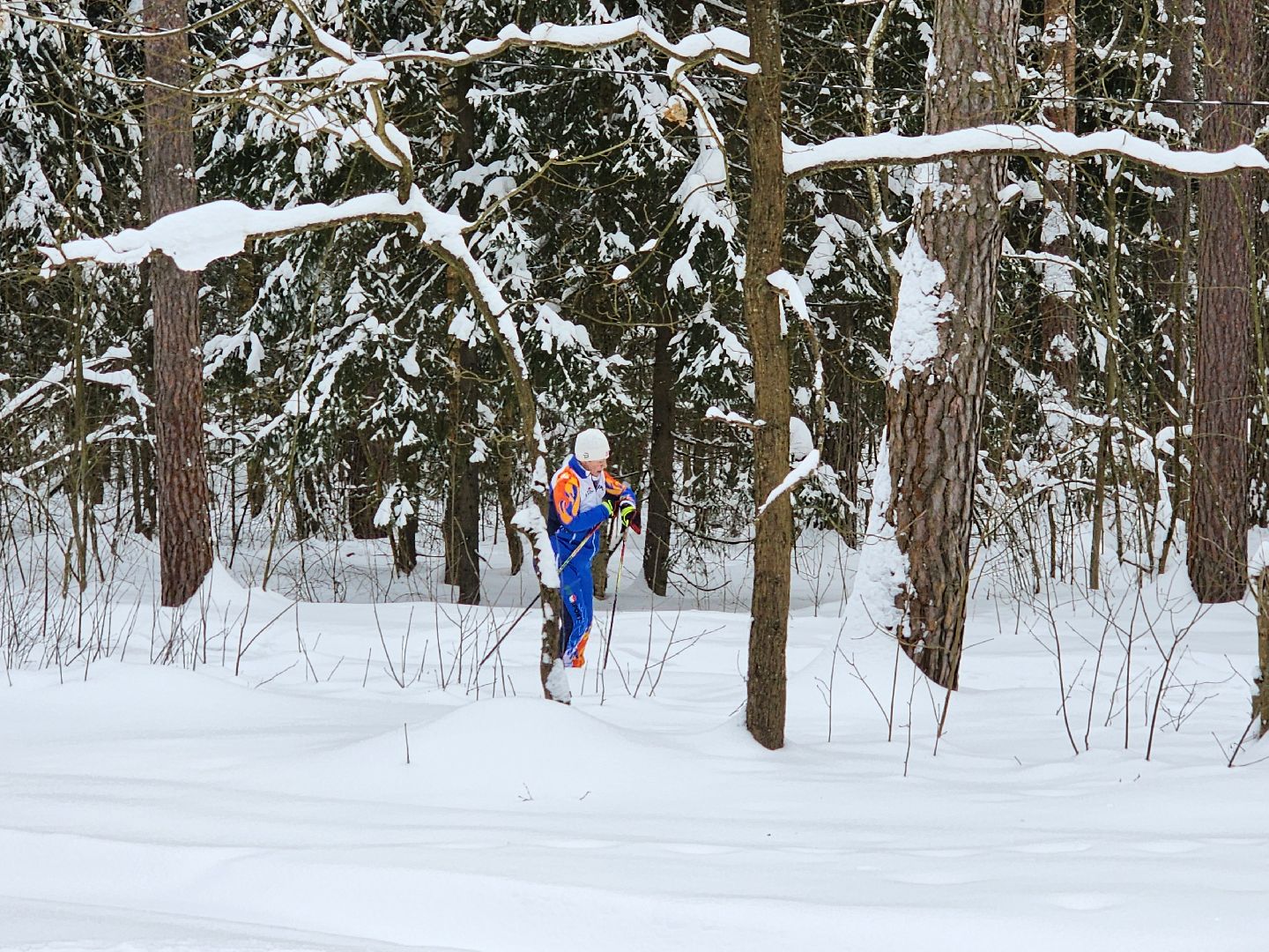 воскресенск, спорт, лыжня, лыжи, соревнования,