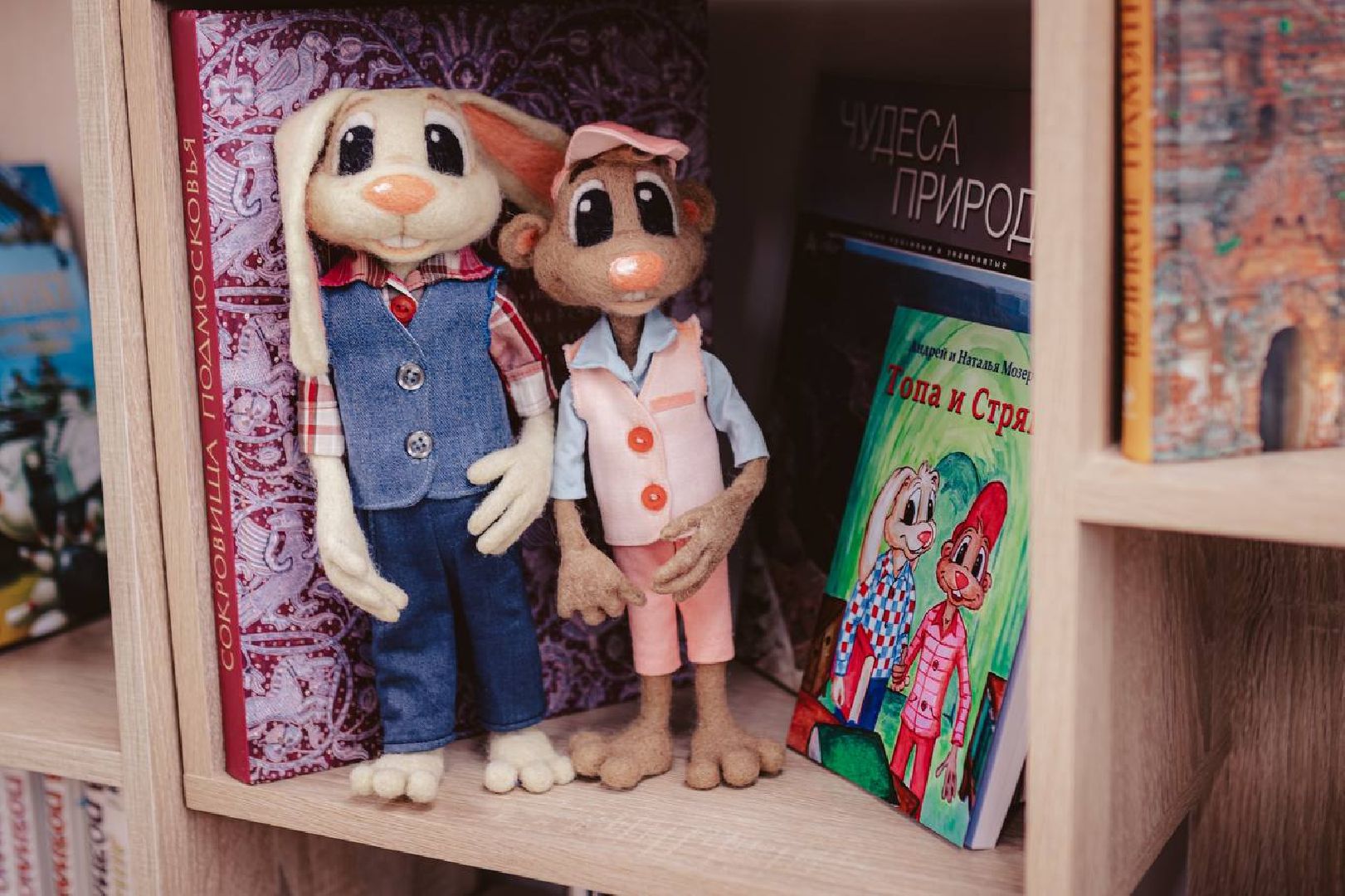 Реутов, библотека, книга, премьера, презентация, Топа и Стряпа,