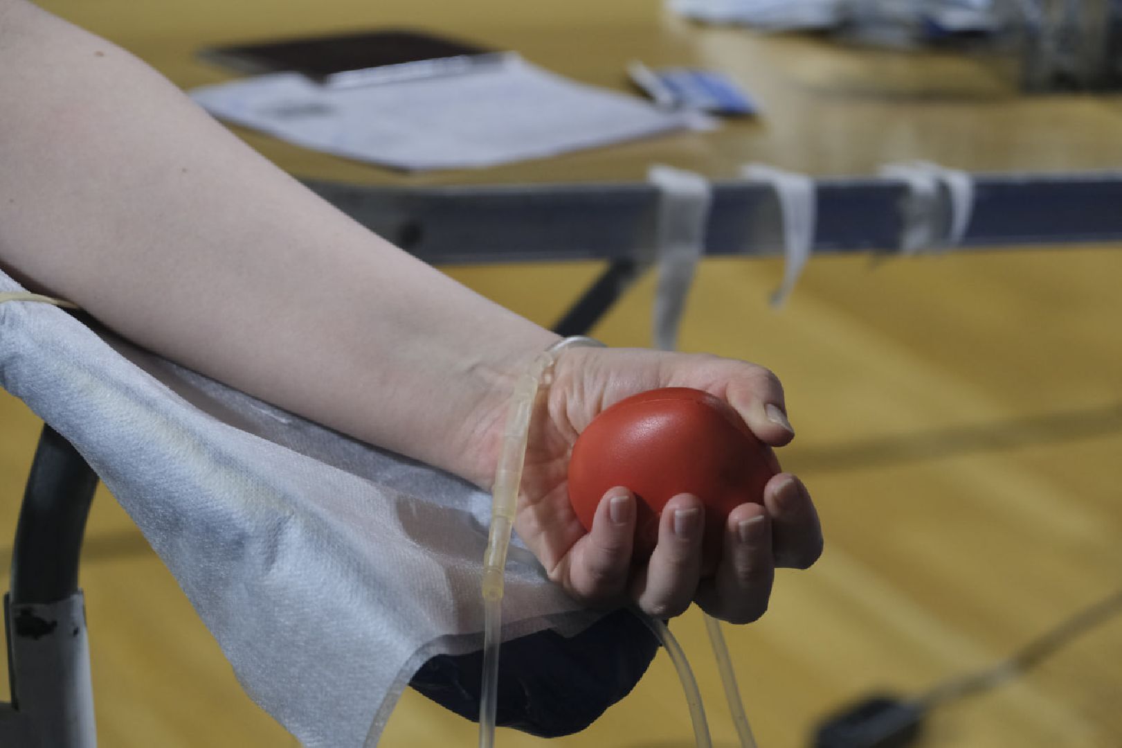 пущино, доноры, волонтеры, кровь,