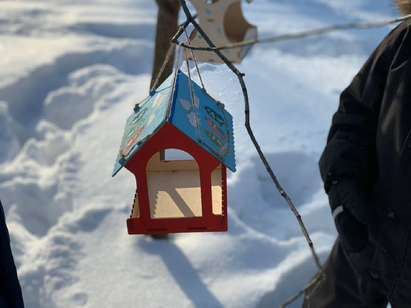 Реутов, парк, птички, кормушки,