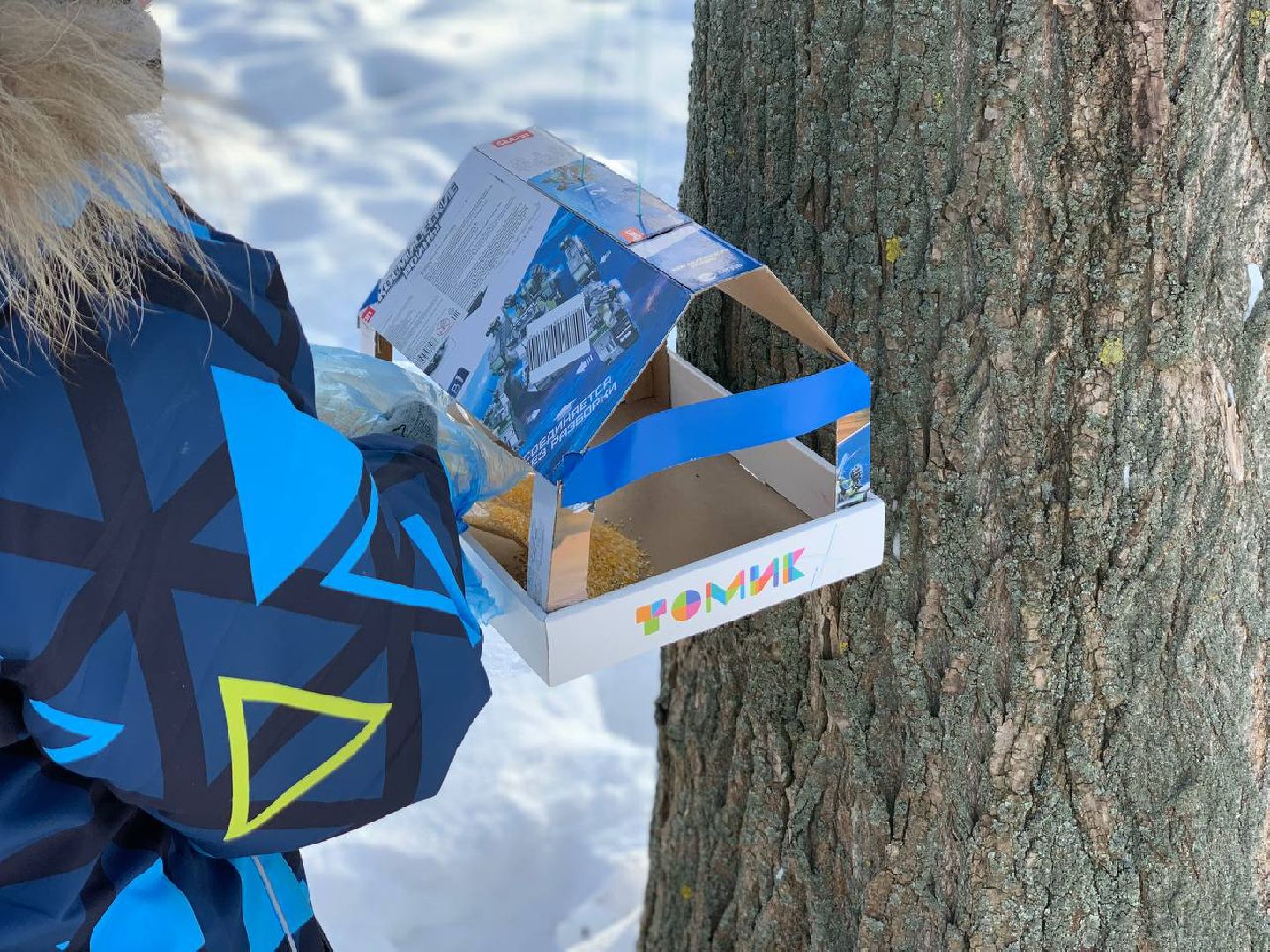 Реутов, парк, птички, кормушки,