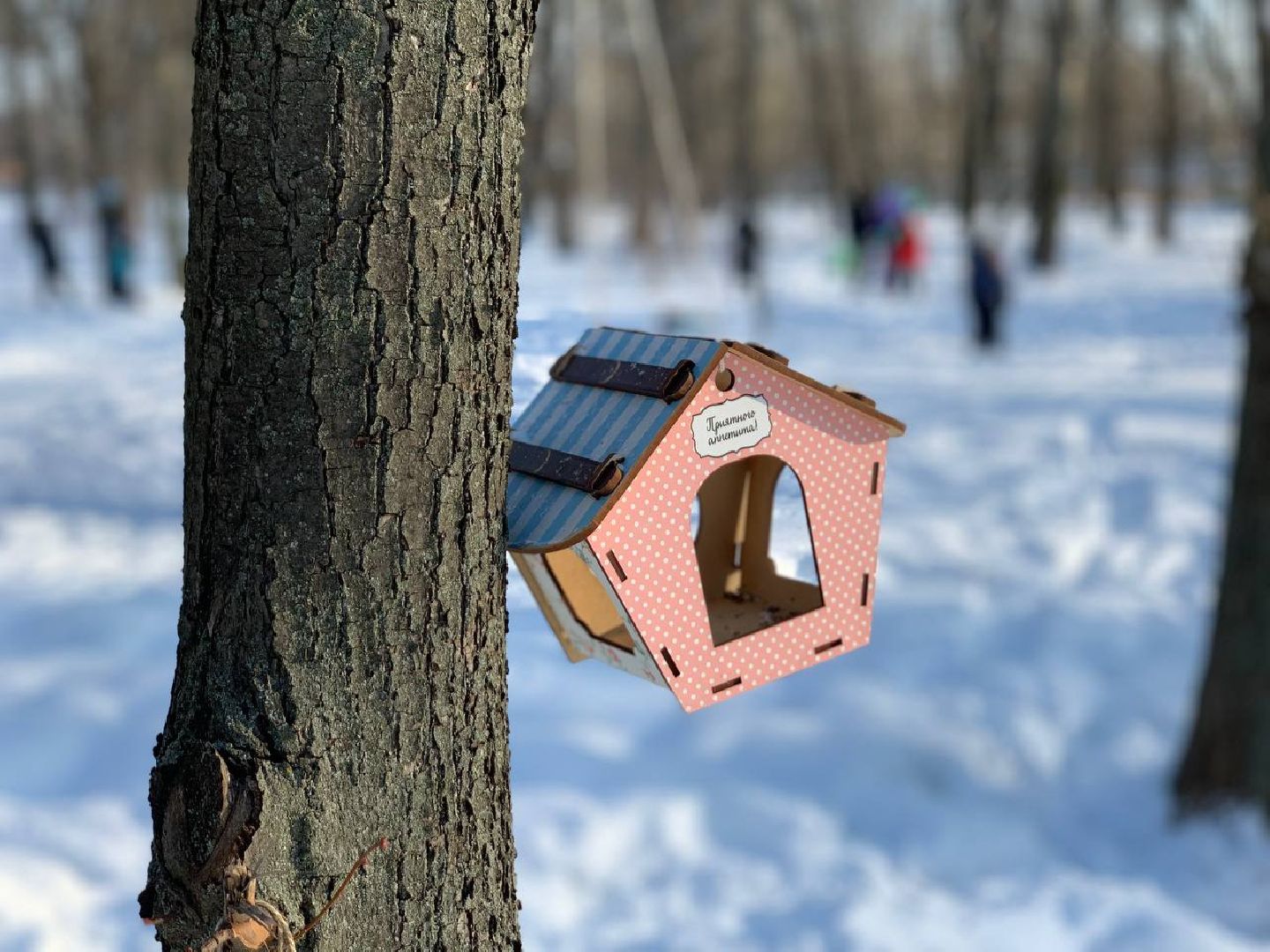 Реутов, парк, птички, кормушки,