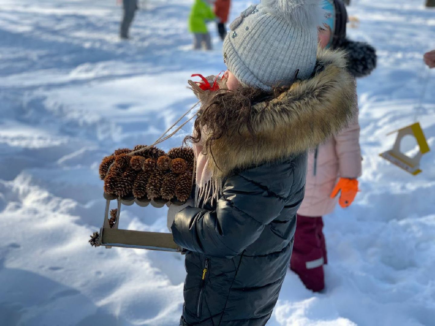 Реутов, парк, птички, кормушки,