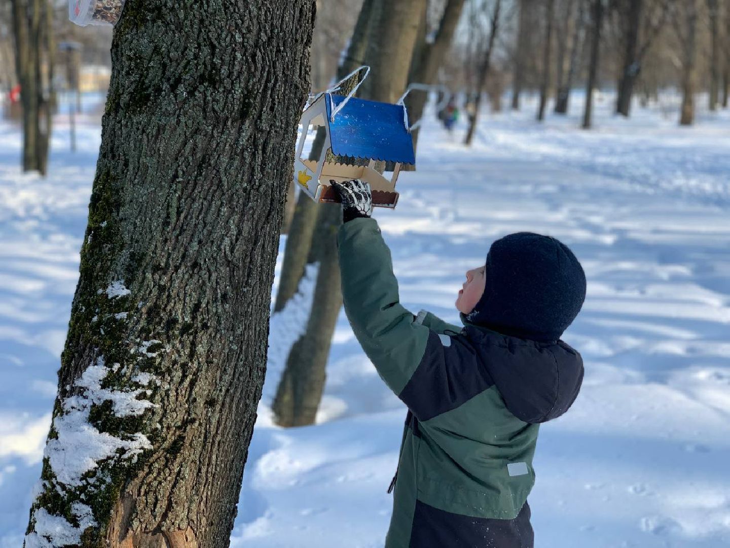 Реутов, парк, птички, кормушки,