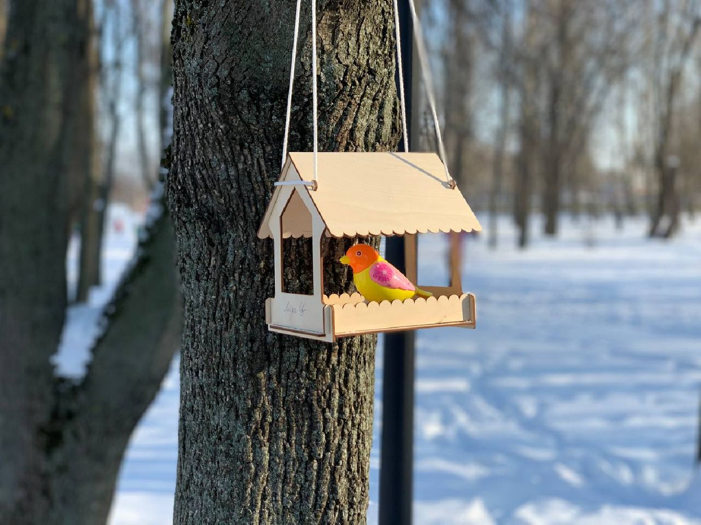 Реутов, парк, птички, кормушки,