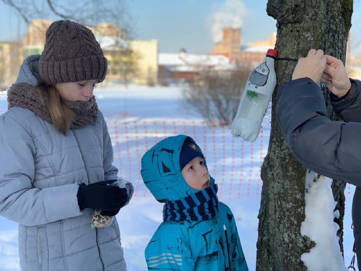 Реутов, парк, птички, кормушки,