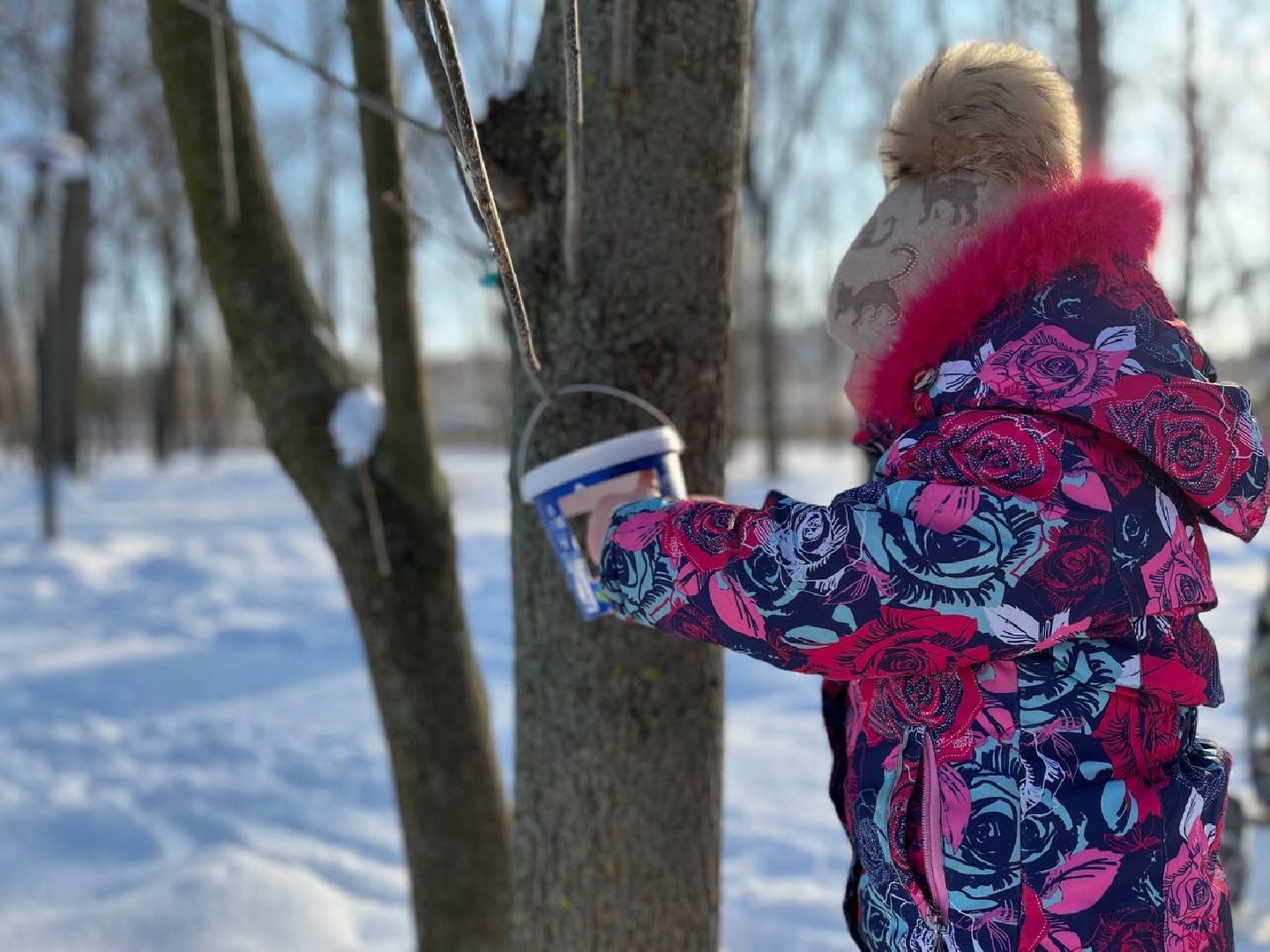 Реутов, парк, птички, кормушки,