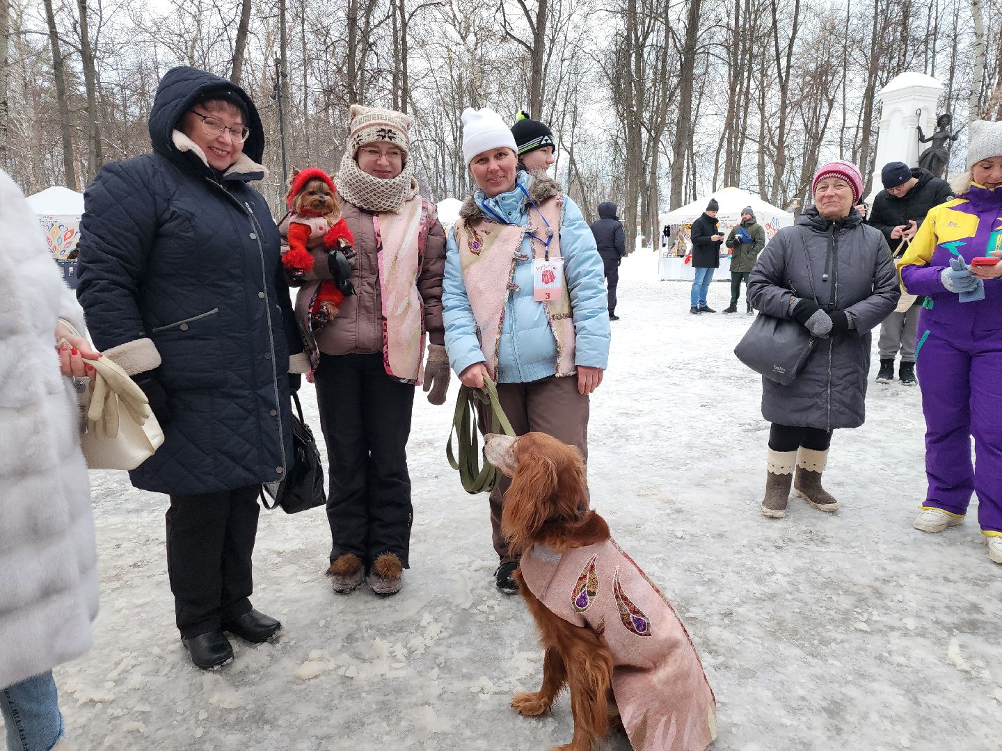 серпухов, подмосковье, теплогрейка, зима в подмосковье, парк имени олега степанова,