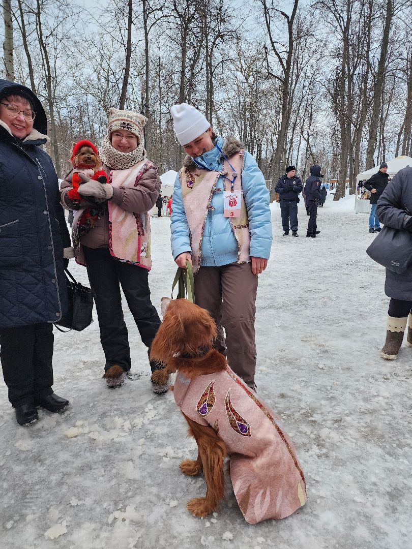серпухов, подмосковье, теплогрейка, зима в подмосковье, парк имени олега степанова,