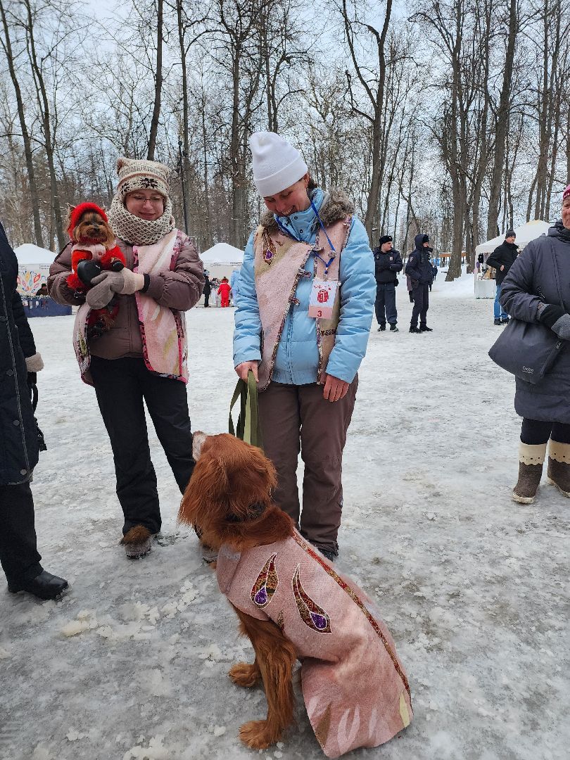 серпухов, подмосковье, теплогрейка, зима в подмосковье, парк имени олега степанова,