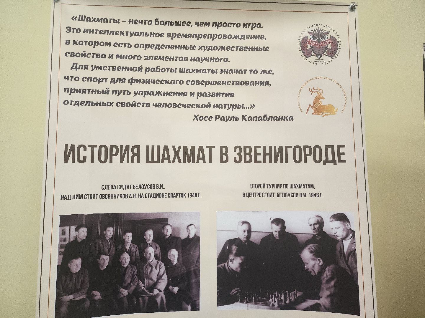 Звенигород, Шахматы,