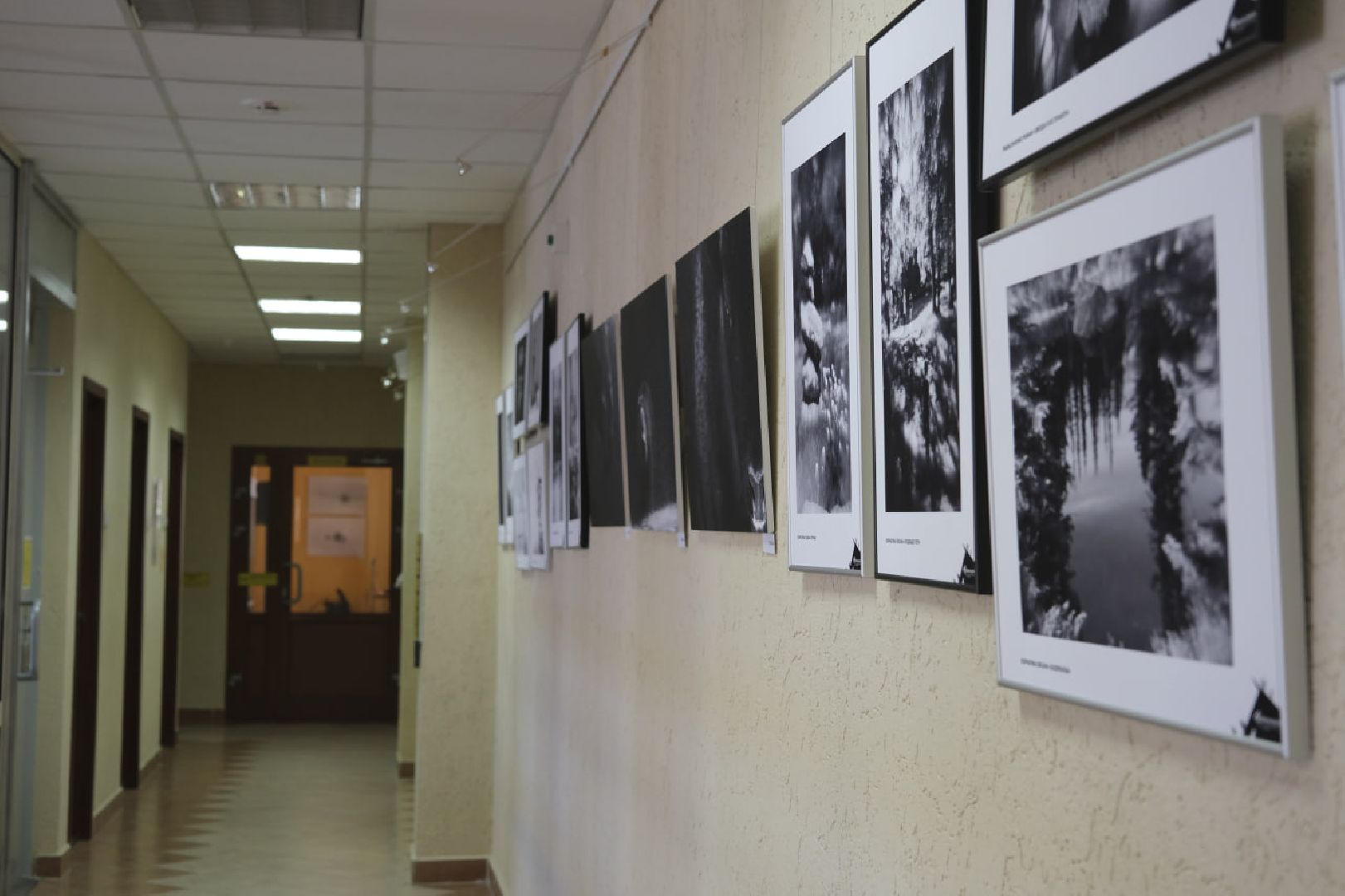 пущино, культура, фото, культура, искусство, фотограф, фотография,