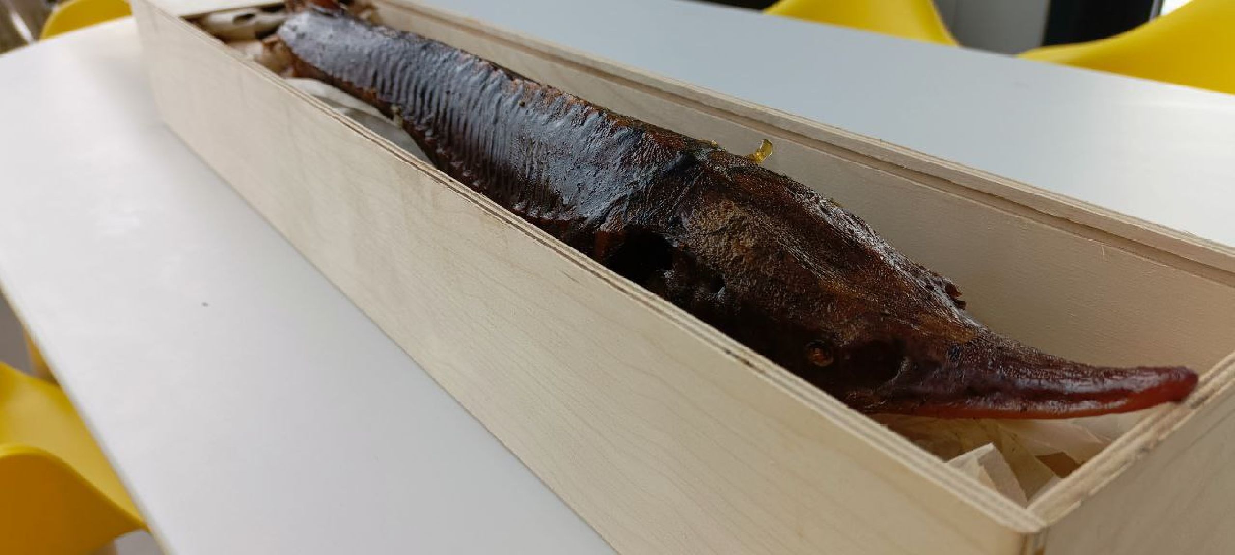 Дмитров, Фермеры Булатовы, Туризм,