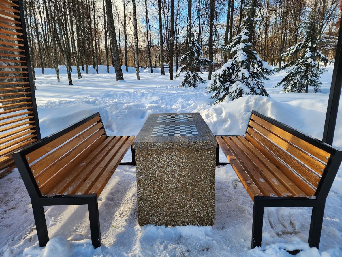 мытищи, шахматы, Шахматные беседки, инициативное бюджетирование,