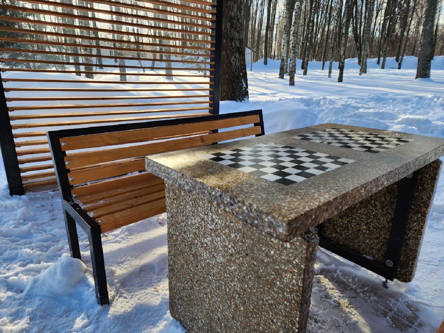 мытищи, шахматы, Шахматные беседки, инициативное бюджетирование,